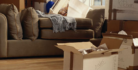 Location logement