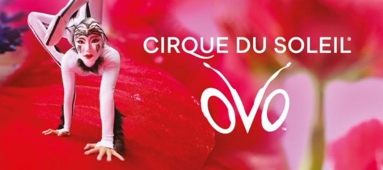 Cirque%20du%20soleil
