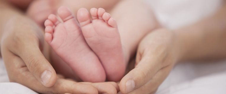 1-Naissance2_763x317