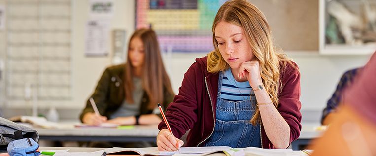 5-lycee_763x317_1